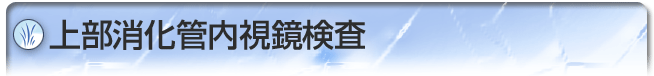 上部消化管内視鏡検査