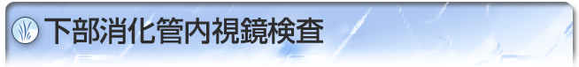 下部消化管内視鏡検査